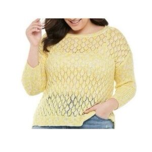 Evri Crewneck‎ Pointelle Knit Pullover Sweater